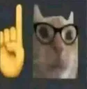 nerdcat